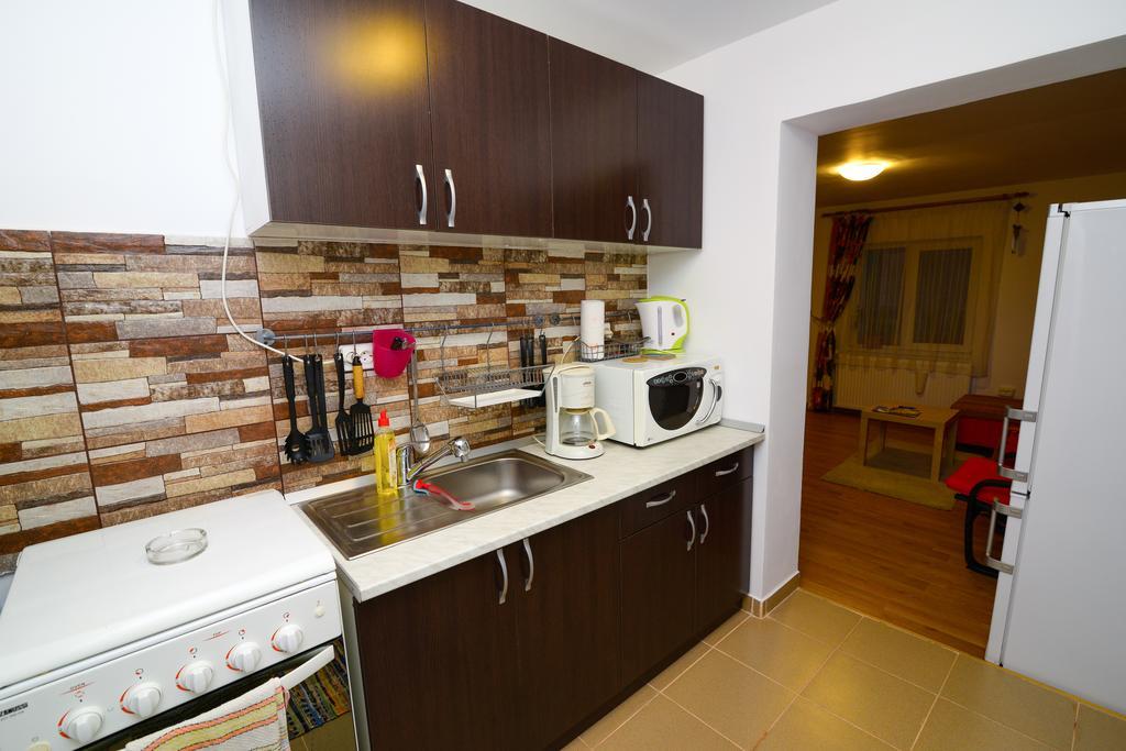 Otopeni Therme Airport Apartment 객실 사진