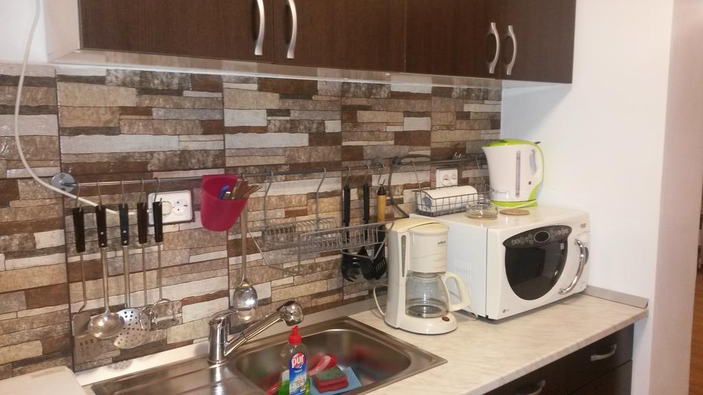 Otopeni Therme Airport Apartment 객실 사진