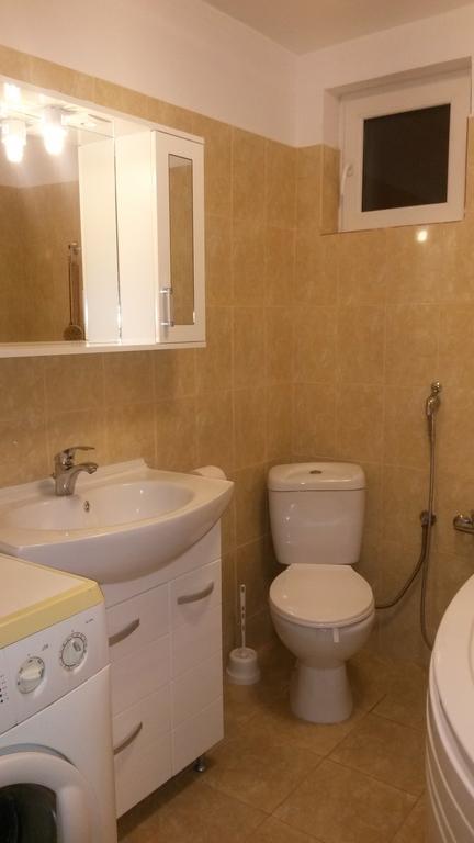 Otopeni Therme Airport Apartment 객실 사진