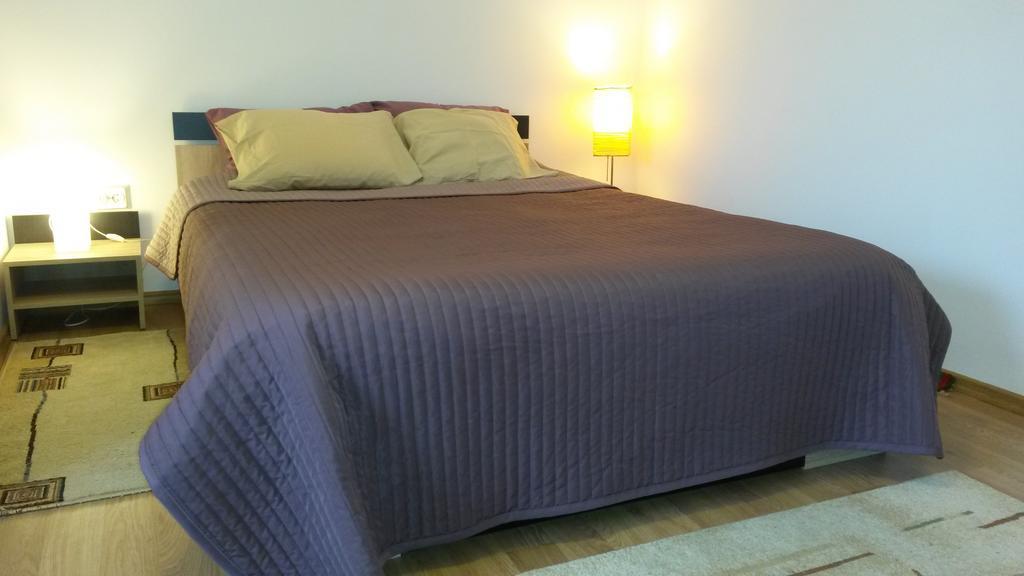 Otopeni Therme Airport Apartment 객실 사진