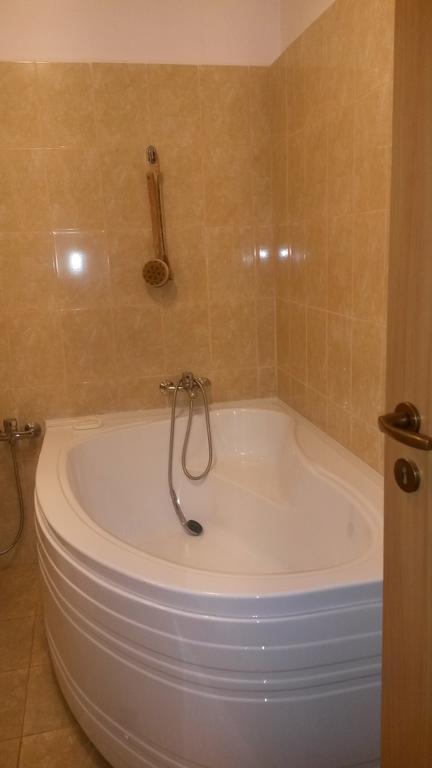 Otopeni Therme Airport Apartment 객실 사진