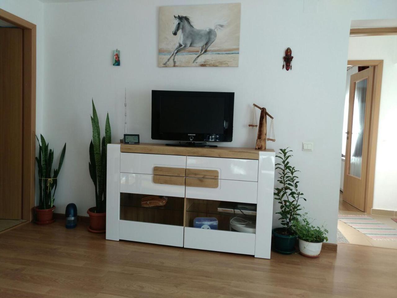 Otopeni Therme Airport Apartment 외부 사진